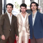 picture of Jonas Brothers