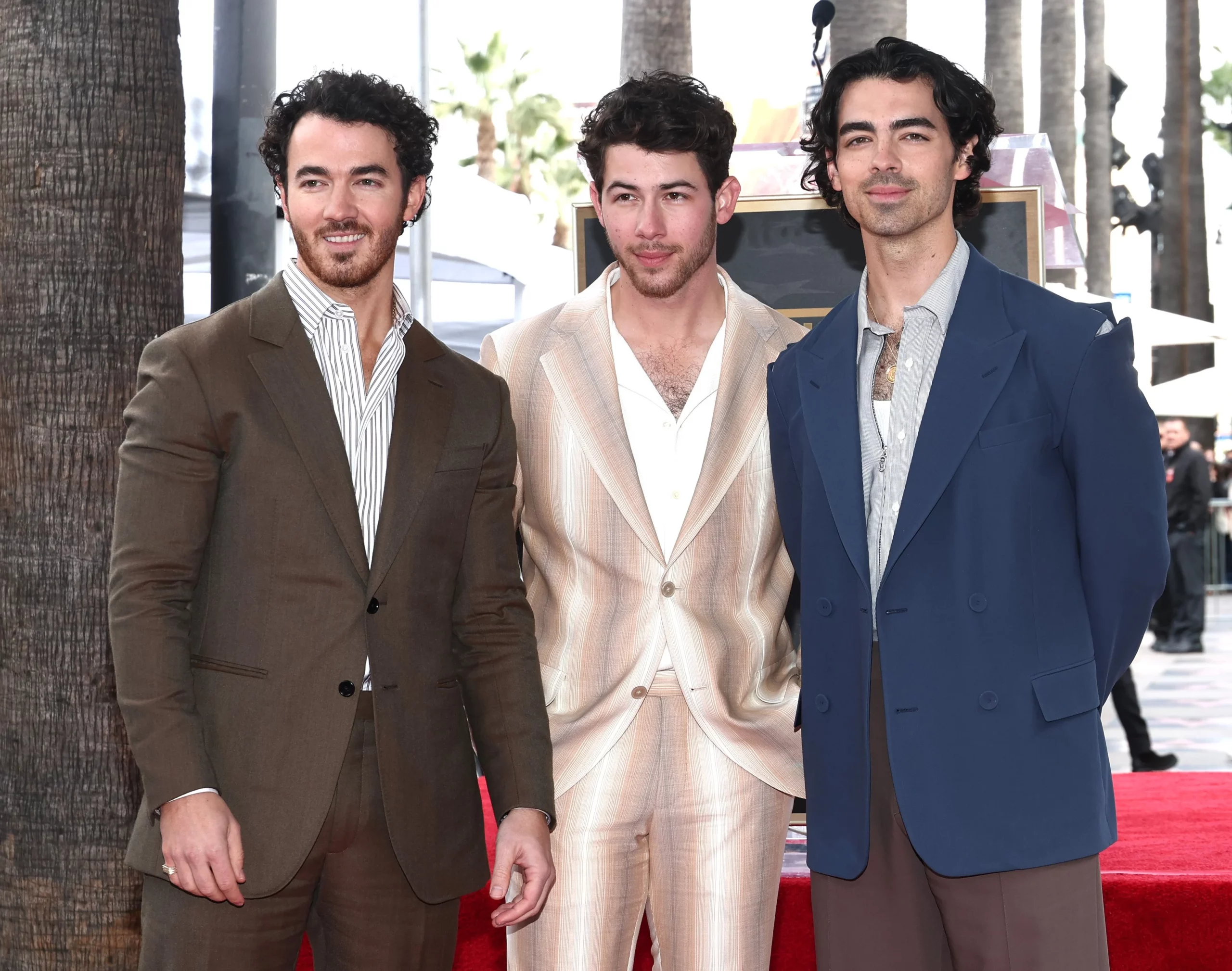 picture of Jonas Brothers