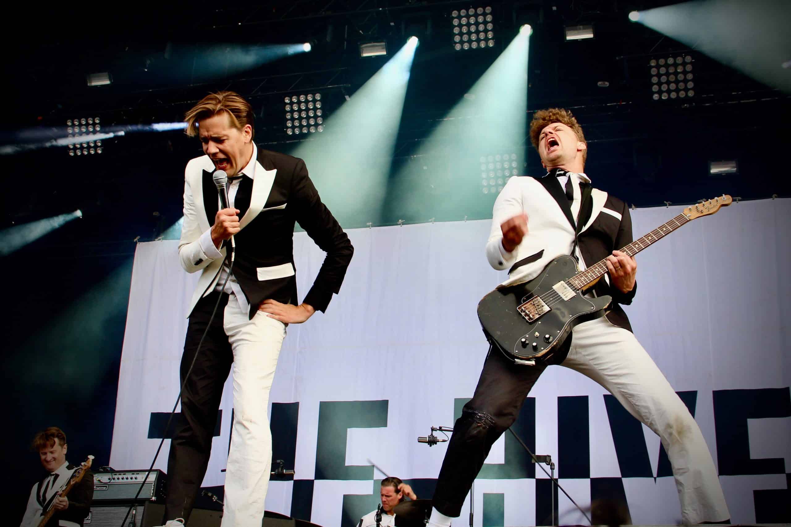 Picture of The Hives